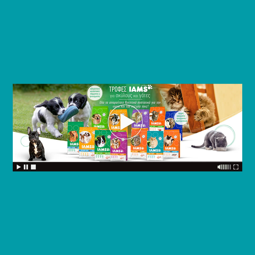 iams food for cats and dogs html5 banner