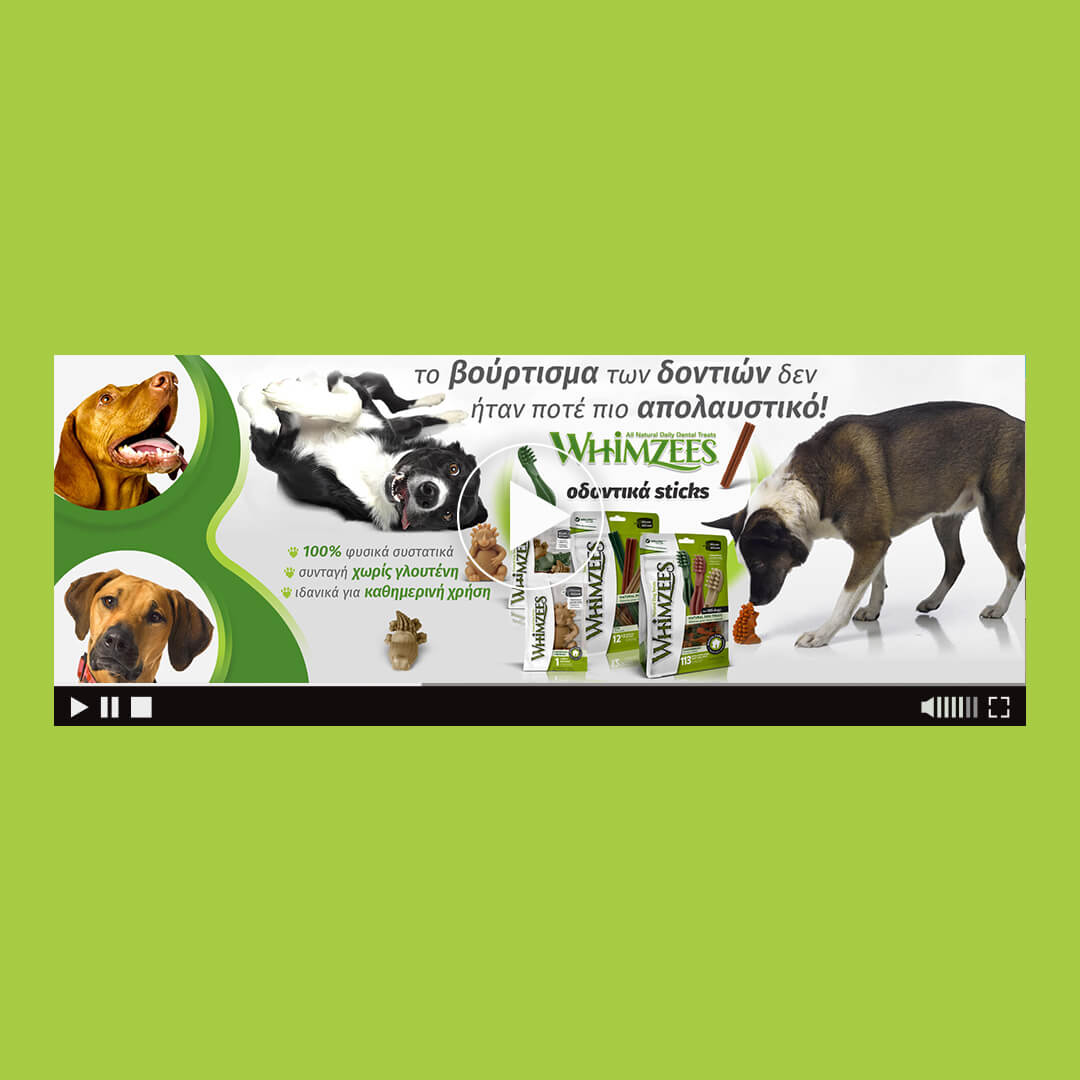 whimzees html5 banner